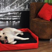 Hundebett-Hundekorb-Aruba-100-Polyester-Braun-II-M-70cmx60-cm-W204-10-0-2