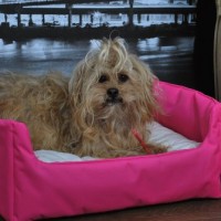 Hundebett-Hundekorb-Aruba-100-Polyester-Braun-II-M-70cmx60-cm-W204-10-0-3