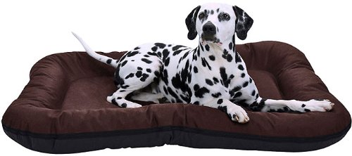 Test & Bewertung zum Knuffelwuff Hundebett
