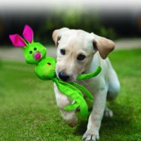 Hunter-Hundespielzeug-Kong-Wubba-Ballistic-Friends-L-0-0