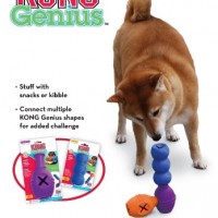 Kong-47685-Genius-Leo-XL-0-2