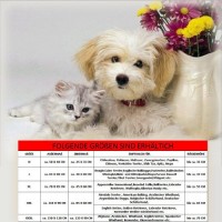 Best-For-Pets-Hundebett-mit-TV-Qualitt-GRANDE-Groe-XXXXL-130x110x65-0-2