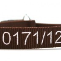 Hunde-Halsband-mit-Namen-und-Telefonnummer-bestickt-Breite-15-mm-Lnge-30-45-cm-verschiedene-Farben-0-0