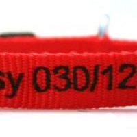 Hunde-Halsband-mit-Namen-und-Telefonnummer-bestickt-Breite-15-mm-Lnge-30-45-cm-verschiedene-Farben-0-3