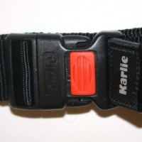 Hunde-Halsband-mit-Namen-und-Telefonnummer-bestickt-Breite-15-mm-Lnge-30-45-cm-verschiedene-Farben-0-6
