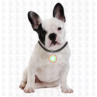 Hunde-Leuchtanhnger-Leuchthalsband-Led-Hundehalsband-LH6-Blinkie-von-Leuchthund-Led-Anhnger-disko-Farbwechselspiel-0-1