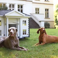 ALABAMA-Hundehaus-Sdstaatenflair-zwei-Gren-Einzelanfertigung-Best-friends-HOME-Promex-GreGre-XL-0-2