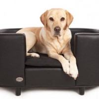 hundesofa-Hampton-medium-Chester-and-Wells-dog-beds-schwarz-0-0