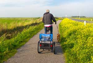 Hintere Ansicht eines Fahrradanhängers für Hunde