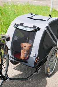 Der Hund im Anhänger (bereits am Fahrrad montiert)