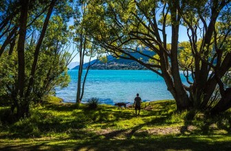 Urlaub mit dem Hund – Das sollten Sie beachten