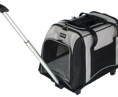 Transporttasche Trolley
