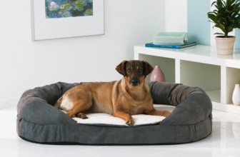 Karlie Ortho Bed