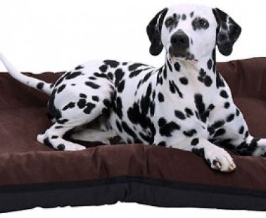 In- und Outdoor Hundebett wasserdicht & wasserfest von Knuffelwuff
