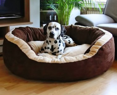 Knuffelwuff Hundebett XXL