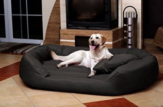 tierlando® SAMMY Extra ROBUST Hundesofa